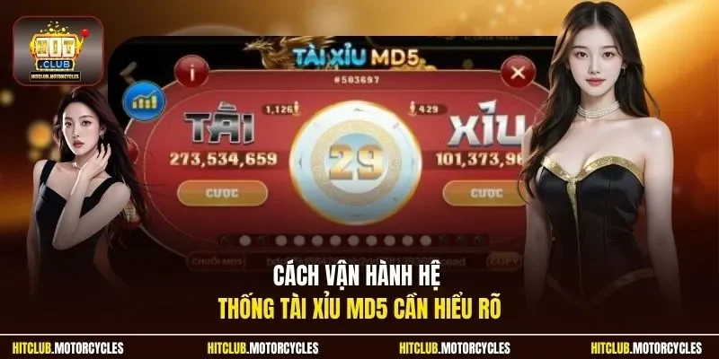 Cách vận hành hệ thống tài xỉu MD5 cần hiểu rõ