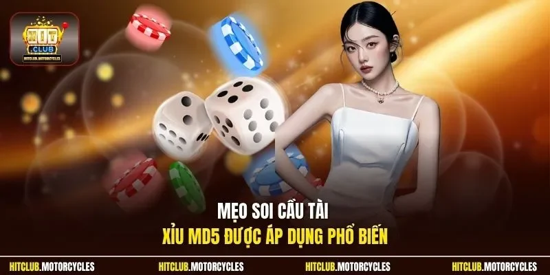Mẹo soi cầu tài xỉu MD5 được áp dụng phổ biến